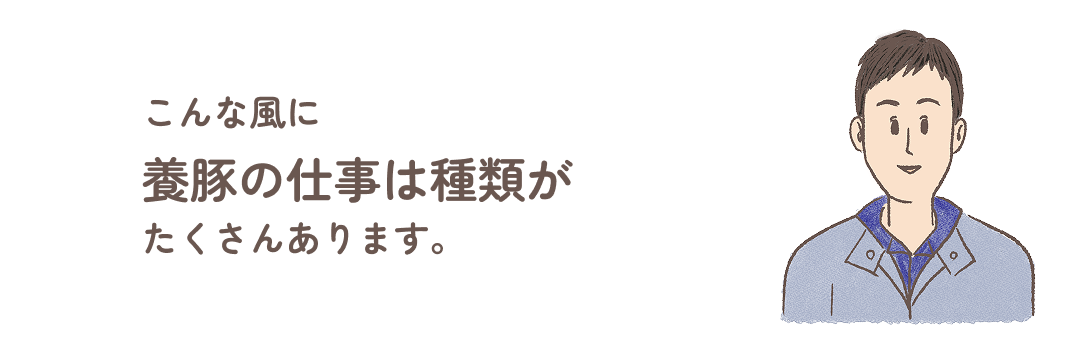 こんな風に養豚の仕事は種類がたくさんあります。