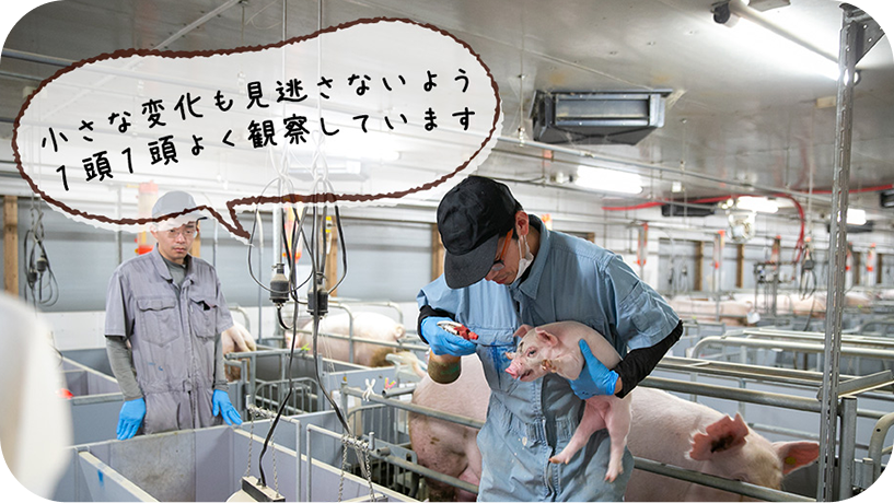 小さな変化も見逃さないよう1頭1頭よく観察しています
