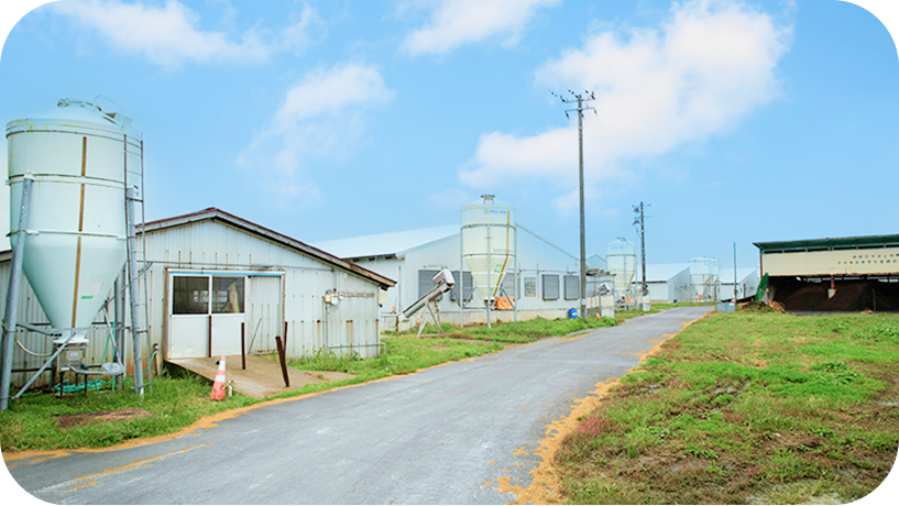 成澤養豚の外観