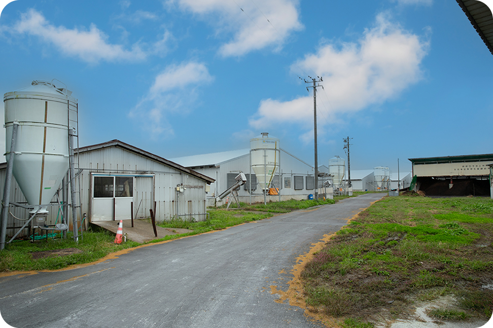 養豚場の外観画像