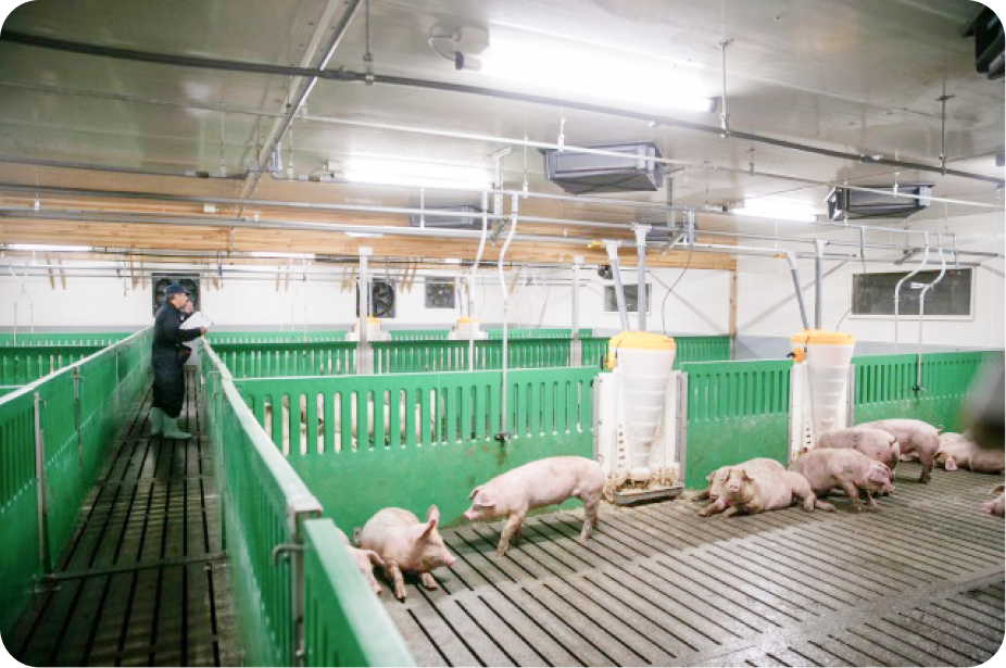 成澤養豚の外観